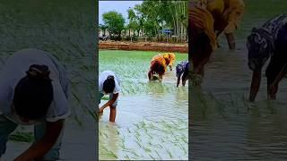 #dance #sohar #dehati #folksong #bhajan #bhojpuri #song #vivahgeet #video #bhojpurisong