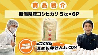 101【業務用米 R5年 新潟県産コシヒカリ 5kg×6P】飲食店の卵仕入れなら〜業務用卵仕入れ.com〜