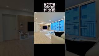 3000할인+3억대 38평 운정역 7분 가성비 3룸 테라든 010-6839-1414
