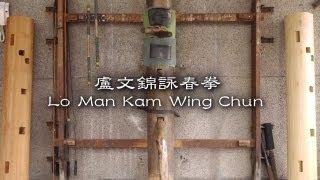 盧文錦詠春拳館回顧影片 Lo Man Kam Wing Chun Recalling Movie