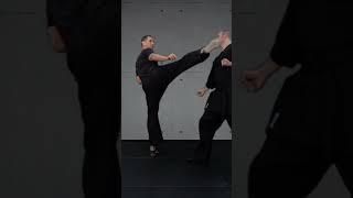 Crane Kempo #kempo #martialarts #shorts