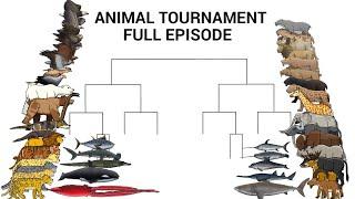 ANIMAL TOURNAMENT FULL EPISODE - ANIMATION