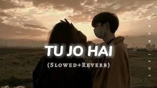 Tu Jo Hai To Mai Hu (SLOWED+REVERB) Song || Lofi Mood 