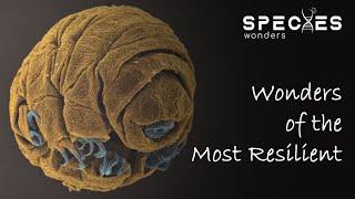 The Tardigrade | Wonders of The Most Resilient Animal