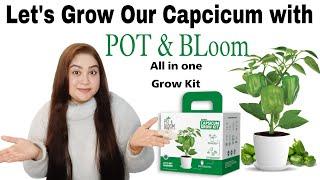 Let's Make our Garden Beautiful with Pot & Bloom All in One Grow Kit