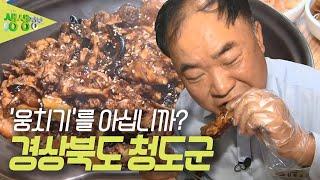 택시맛객들의 수다 : 청정 지역, 경상북도 청도 [2TV 생생정보] | KBS 230510 방송