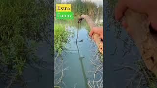 Extra funny Video shorts ##Googan Squad,#shorts,#reels,#Fishing with Norm,#fishing,#fish,#viralvideo