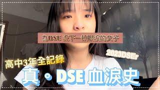 [真。DSE血淚史] 2023 DSE  | 高中三年全紀錄 你並不孤單 | ft. SUNGBOON EDITOR