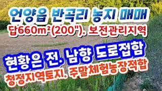 (2205*28) ‍️‍ 언양읍 반곡리 주말체험농장 매매. 1억2천만 답660m² (200") 