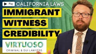 Using a Witness's Immigration Status in Court: Legal Insights and Strategies