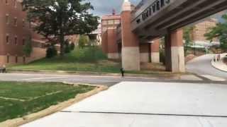 Walking Through The University of Tennessee - Knoxville