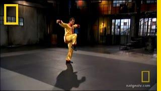 Crane Style Kung Fu | National Geographic