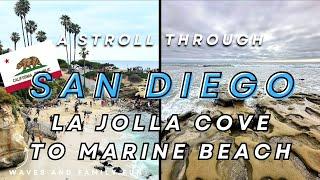 A Scenic Stroll in San Diego, California: La Jolla Cove to Marine Street Beach