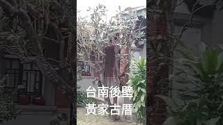 #台南後壁黃家古厝 前面有一個大水池，水池旁還有種植一排的椰子 樹，高高長長的，看了很舒服，接近百年的老房子，是日本時代大正時期建造，是邀請來自唐山師父， 建造兩年才完工，設計格局非常優雅古樸