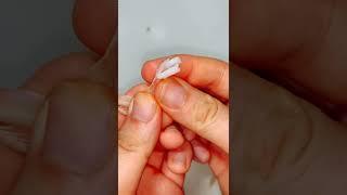 148 如何正确吃皮皮虾教程？你学会了吗？关注我！每天带你了解更多海鲜知识！带你吃更肥海鲜！ #美食 #皮皮虾 #教你如何吃皮皮虾