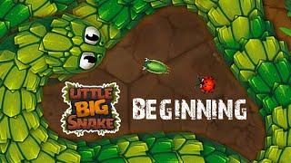 LITTLE BIG SNAKE  SPATY WOW ! First Time, New Skin, Funny Solo Insectoid  Best Fun Snake Gameplay