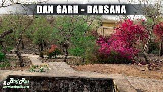 Dan Garh, Barsana - Darshan and Pastimes