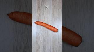 Are Carrots Made out of Carrots? 3000x Zoom