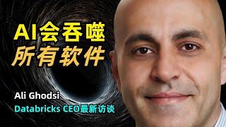 【人工智能】AI会吞噬所有软件 | Databricks CEO 阿里·戈德西最新访谈 | 数据的重力 | Spark | MosaicML | Data Lakehouse | 企业级模型