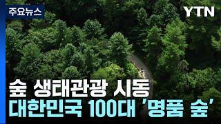 대한민국 100대 '명품 숲'을 아시나요?...숲 생태관광 시동 / YTN