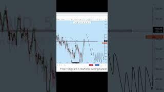 Learn Forex with forex wizard