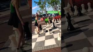 Shatranj on Streets of Capetown  #viral #trending #capetown #southafrica