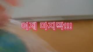 말랑이 3종 리뷰!!!!! (계란,조개,츄인껌 말랑이 까지)