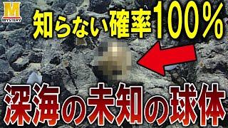 【最新ニュース】正真正銘の未知の物体！世界で初めて見つかった『黄金の球体』