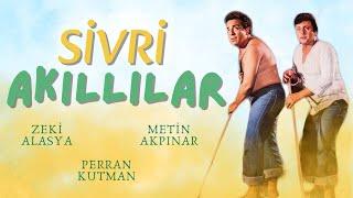 Sivri Akıllılar Türk Filmi | FULL | Zeki Alasya | Metin Akpınar