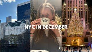 visiting new york city in december | christmas trees, central park, ralph's coffee & more!