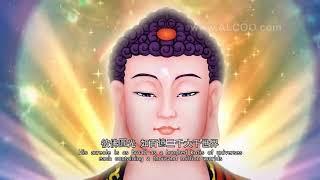 Visualisation of Infinite Life Sutra (Animation)