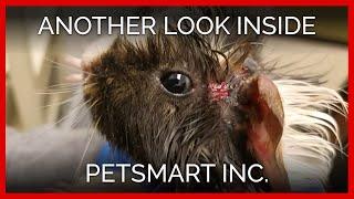 Another Look Inside PetSmart, Inc.: A PETA Eyewitness Exposé