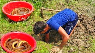 Eel Fishing | Boy Catching Eel Fish From A Deep Fish Hole By Hand