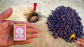 1000 SNAKE BOMB  ~at Once Time Fire Crackers Testing in Diwali 2024 // Cracker Testing 2024