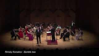 Rimsky Korsakov   Bumble bee Bassoon  SungKwon You/ Amadeus Chamber Orchesta/ YongHO choi