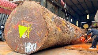 Giant Wood Factory Operating At Full Capacity "Millennium-old Tree Cutting Machine"