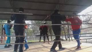 Km boxing, narwana best boxing training