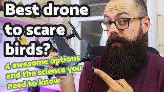 Best drone to scare birds [4 awesome options]