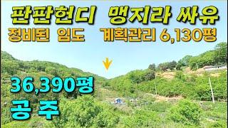 공주  36,390평, 계획관리 6130평,  ■충남 완만하고 잘 관리된 임도, 맹지 싼 땅, 도로 내면 대박나는 임야, 캠핑장, 야영장