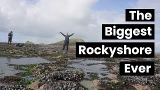 Rockpooling a HUGE rocky shore!!