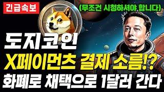 도지코인 X페이먼츠 채택 2달러 갑니다!! 팩트 중요한 정보!! 빠르게 시청하세요