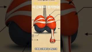 앉기만 하면 자동으로 무너지는 근육