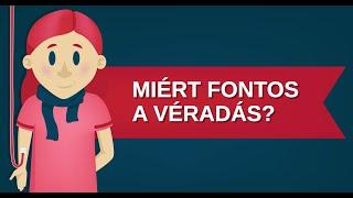 A vér útja: Miért fontos a véradás? 5/1.