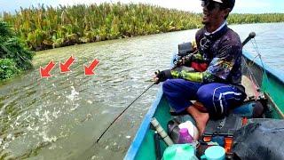 Melampaui Target  Ketika Ikan Ikan Kakap Besar Berkumpul di Satu Spot Mancing