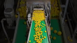 High speed bin filler