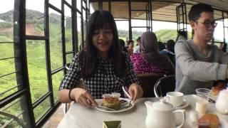 Kerryn travels to Genting + Cameron Highlands