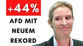 Sachsen-Anhalt: AfD räumt ab – Grüne & Linke fliegen raus!