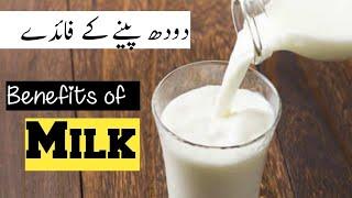 Doodh Peene Kai Fayde | Cow Milk | Benefits of Milk | گائے کا دودھ پینے کے فواید