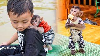 Playful monkey MiMi frolics with baby Bi and her mom on a peaceful farm