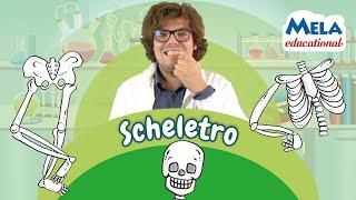 Lo scheletro - Renato lo scienziato Educational @Mela_Educational